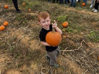 Pumpkin Patch