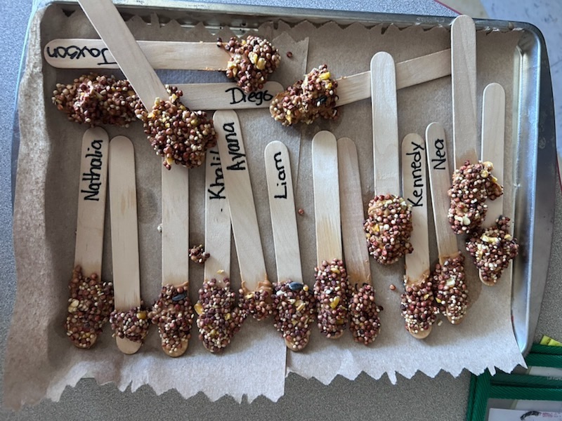 Ms. Snead's first graders make bird feeders