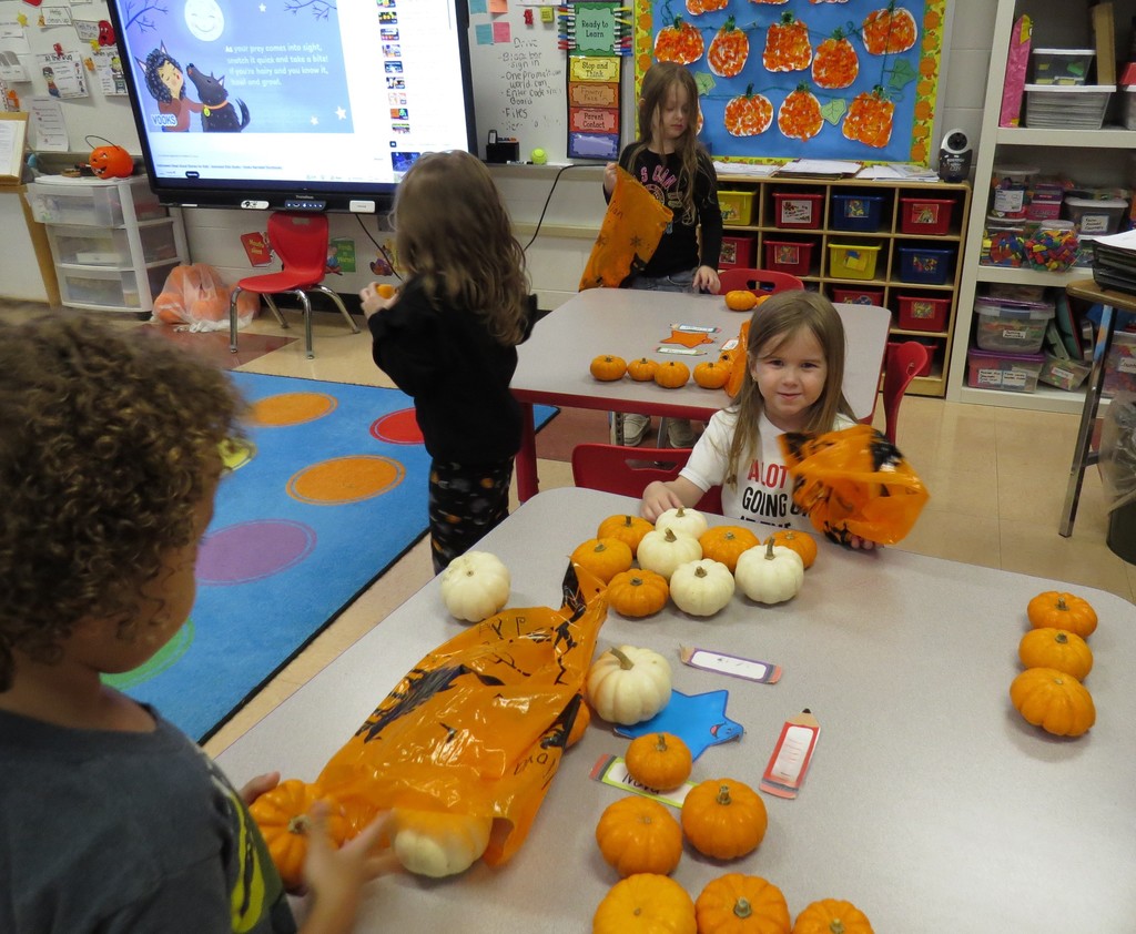 Pre-K Students Enjoy a Halloween Pumpkin Hunt