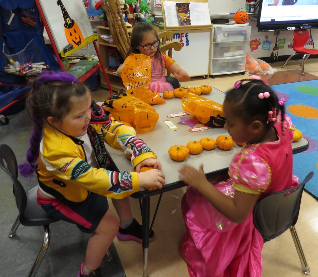 Pre-K Students Enjoy a Halloween Pumpkin Hunt