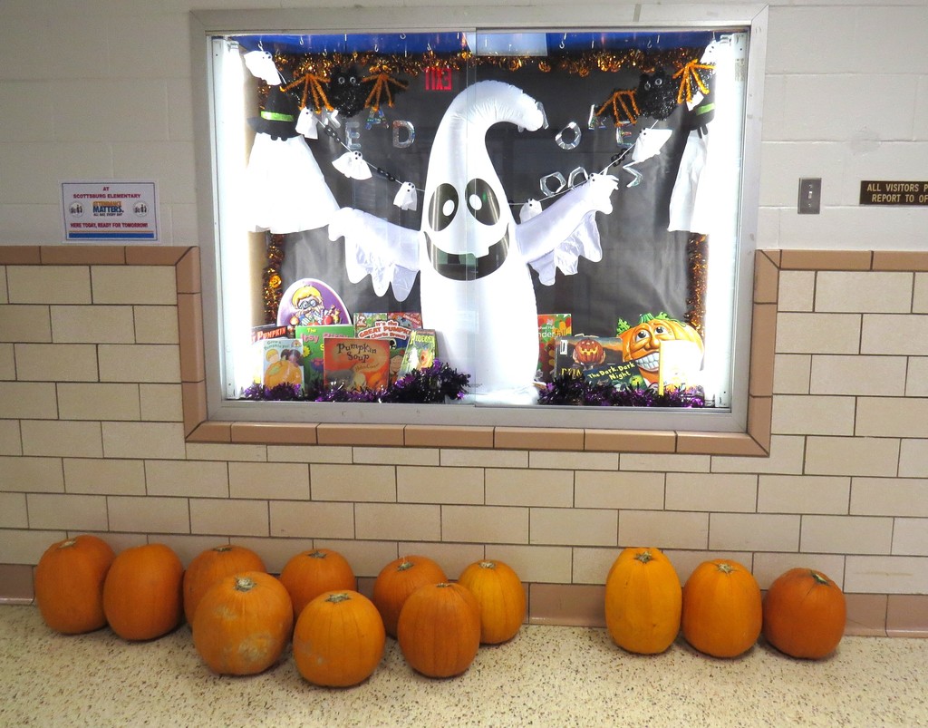 Students Enjoy Learning About Pumpkins and Carving Them for Halloween