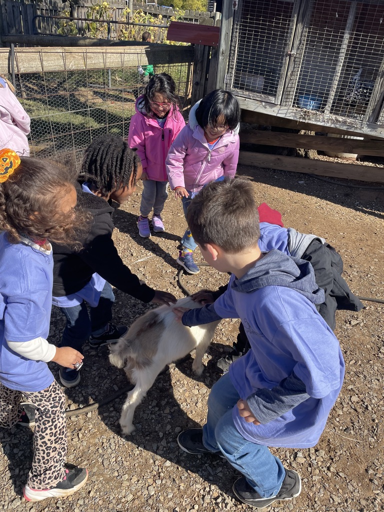 Mrs. Rich's Class Visits Owen's Farm