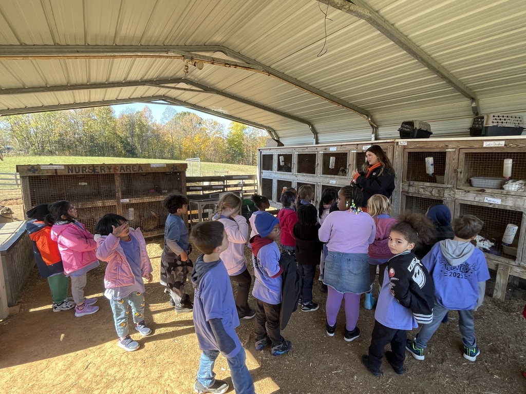 Mrs. Rich's Class Visits Owen's Farm