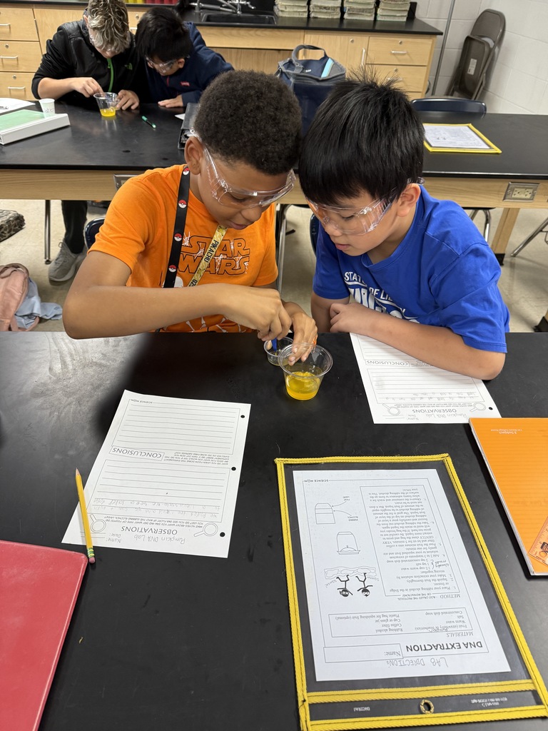 Halloween pumpkin DNA extraction lab! 