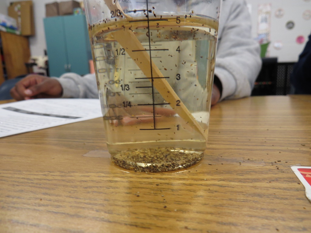 Third Graders Complete Science Experiments 