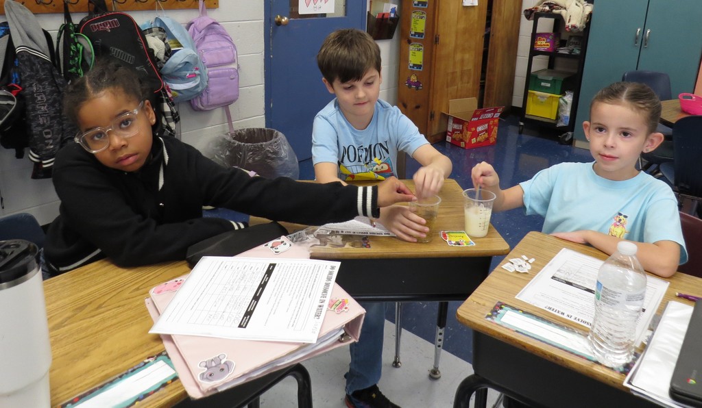 Third Graders Complete Science Experiments 