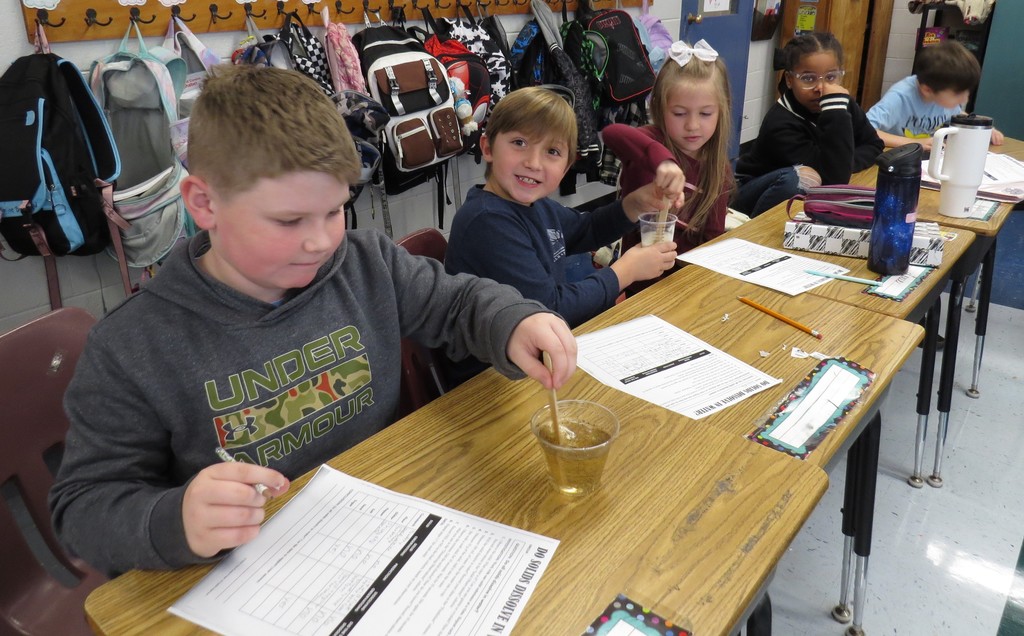 Third Graders Complete Science Experiments 
