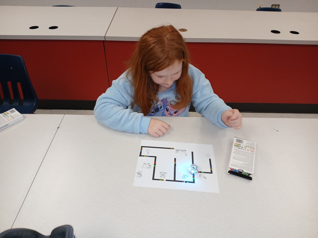 Turkey Trouble with Ozobots