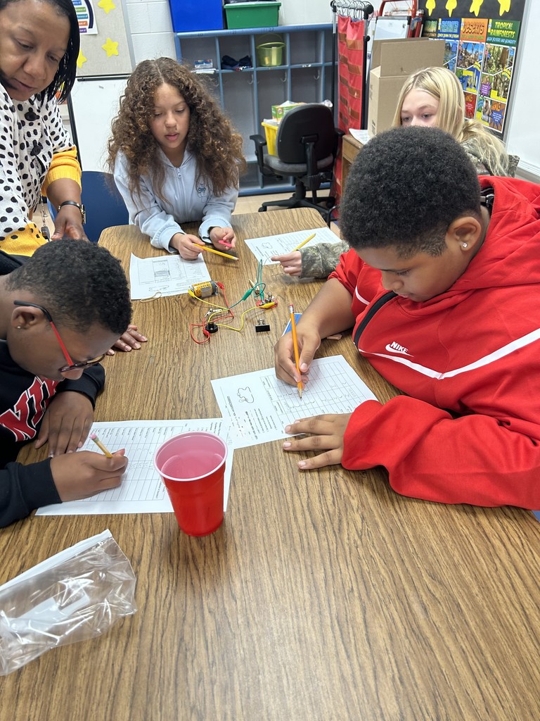 Students Test Our Various Electrical Conductors and Insulators