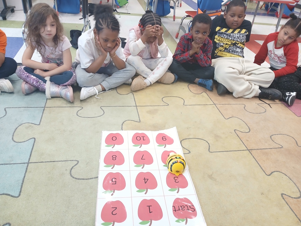 Kindergarten uses Bee Bot to Learn Counting