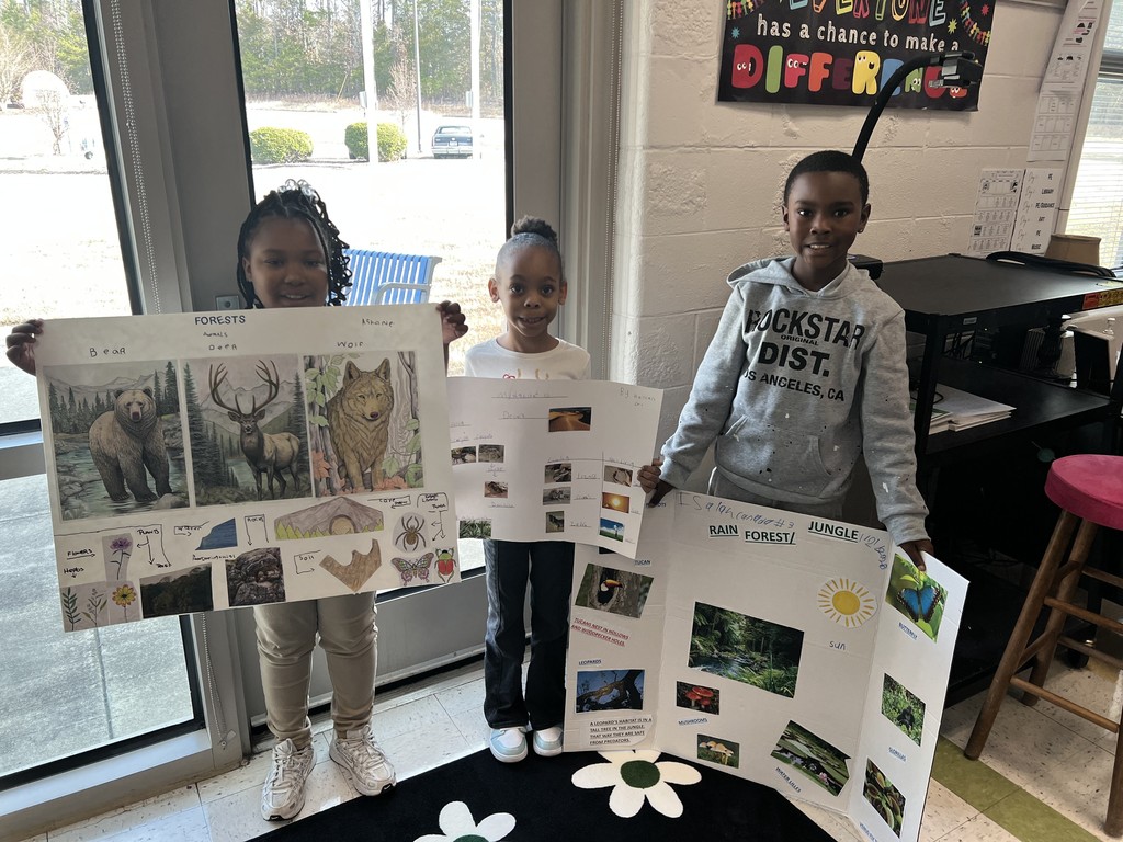 Second Grade Habitat Projects