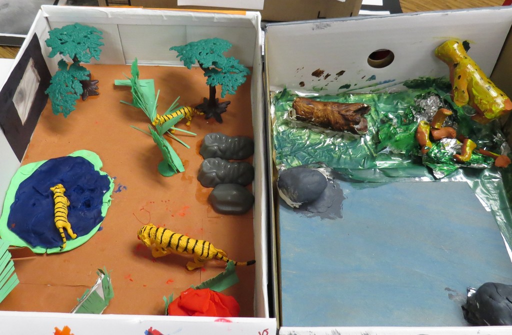 Students Create Animal Habitat Projects 