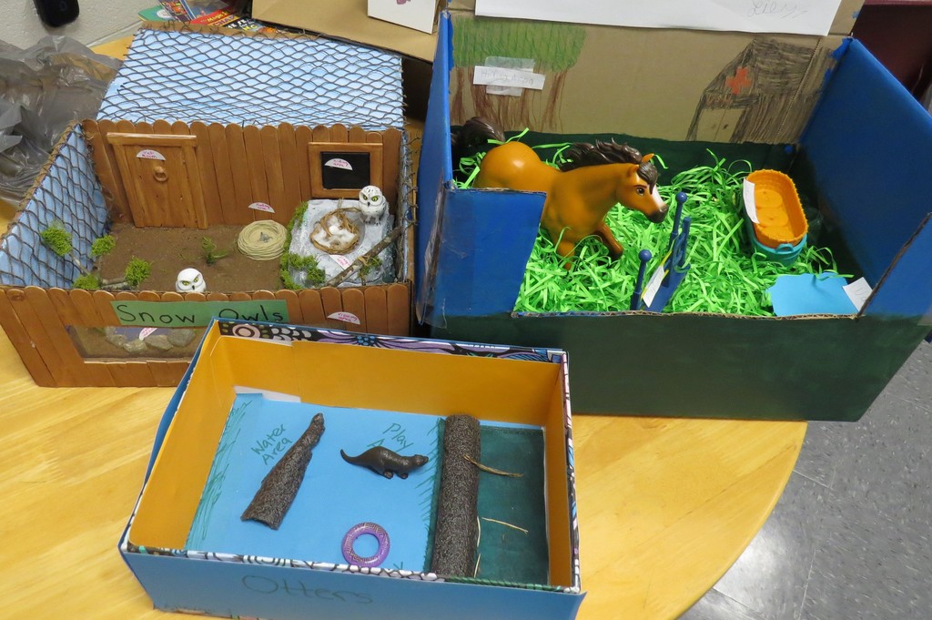 Students Create Animal Habitat Projects 