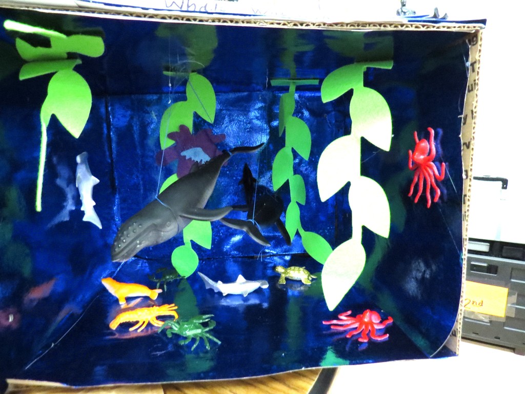 Students Create Animal Habitat Projects 