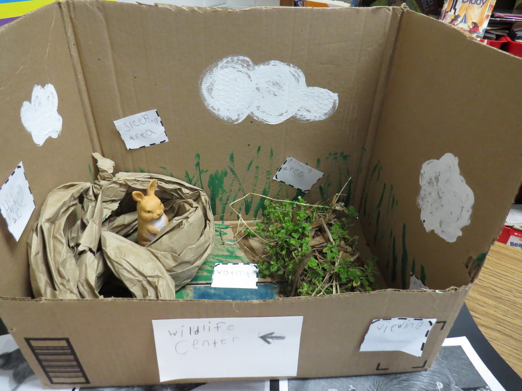 Students Create Animal Habitat Projects 