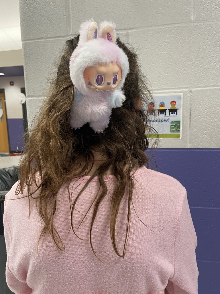 Wacky Hair and Crazy Sock Day!