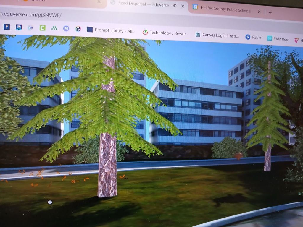 Fourth Graders Learn About Photosynthesis