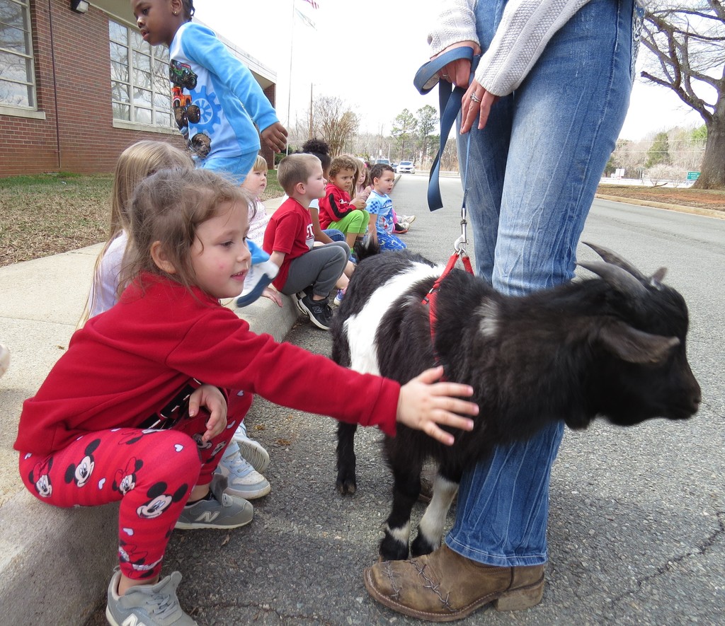 Adorable Farm Animals Visit Pre-K Students at Scottsburg Elementary