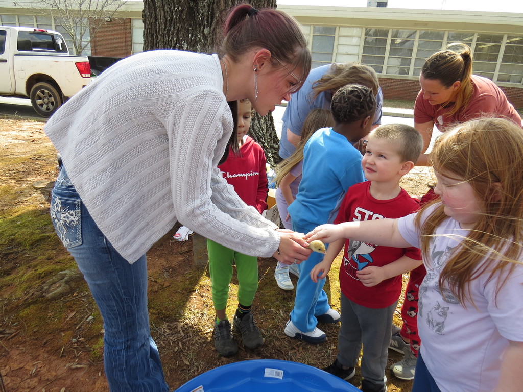 Adorable Farm Animals Visit Pre-K Students at Scottsburg Elementary