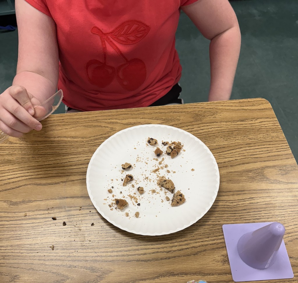Students Conduct A Hands-On Science Experiment Using "Chips Ahoy" Cookies To Learn About Erosion