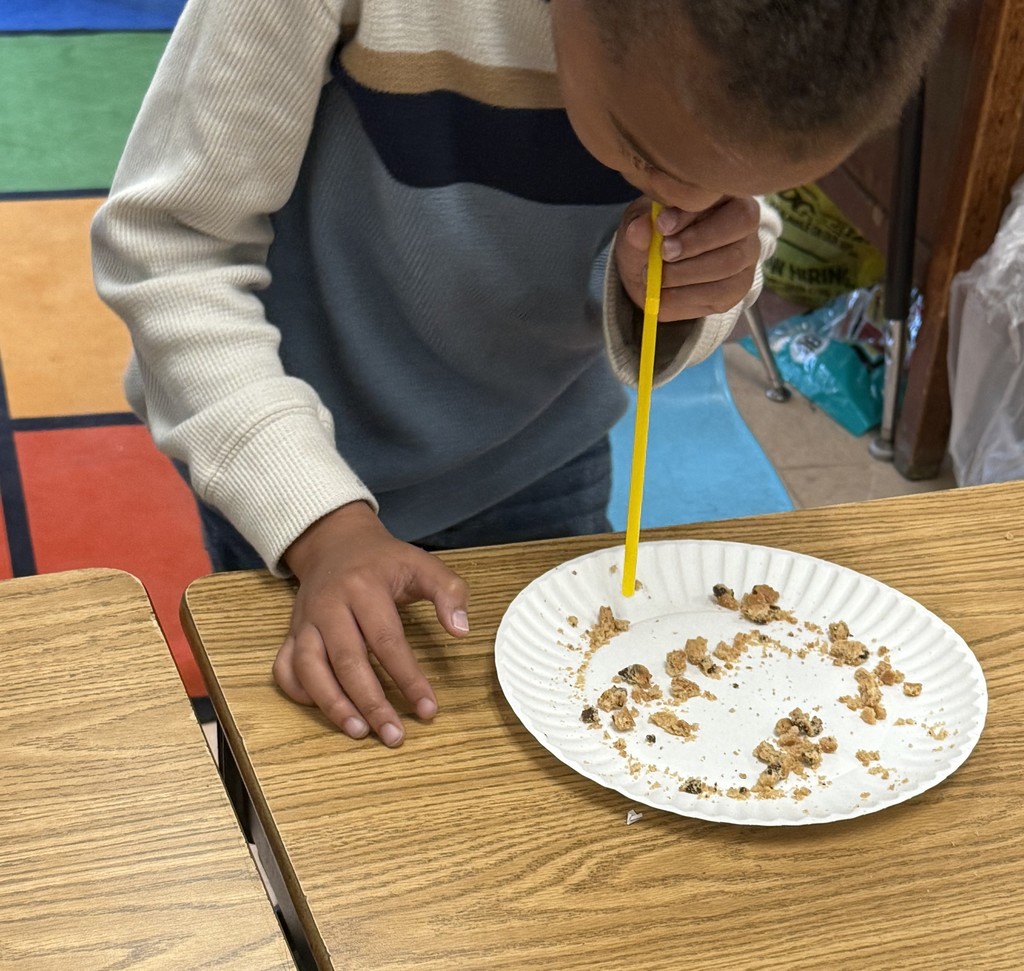 Students Conduct A Hands-On Science Experiment Using "Chips Ahoy" Cookies To Learn About Erosion