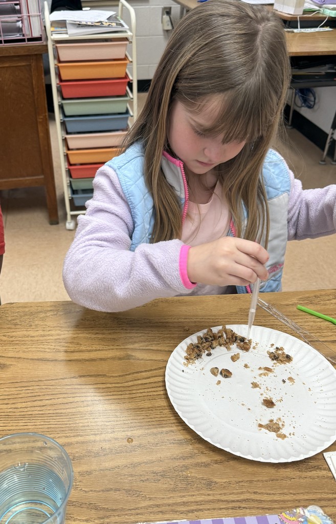 Students Conduct A Hands-On Science Experiment Using "Chips Ahoy" Cookies To Learn About Erosion