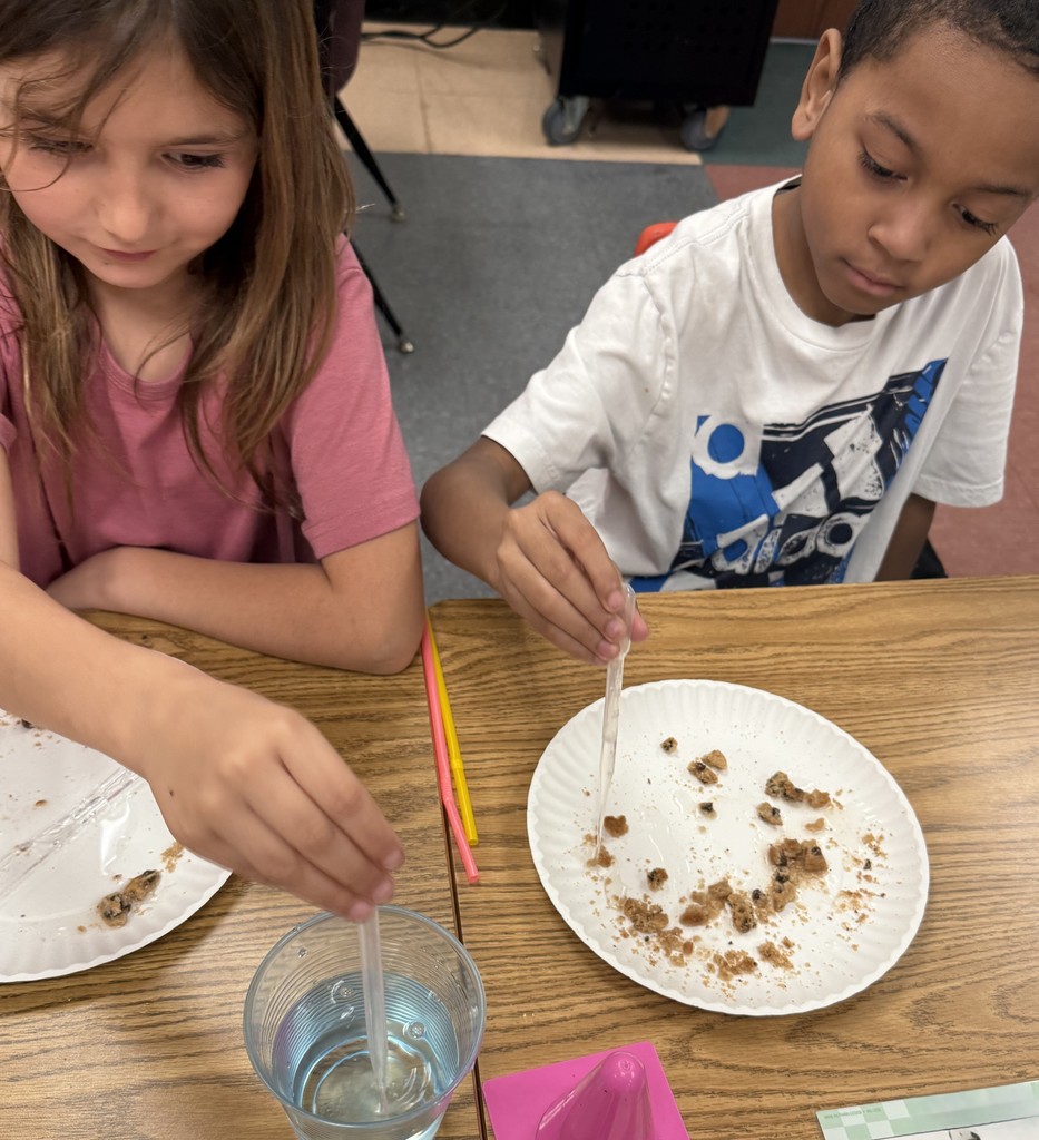Students Conduct A Hands-On Science Experiment Using "Chips Ahoy" Cookies To Learn About Erosion