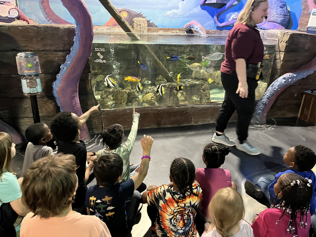 Field Trip