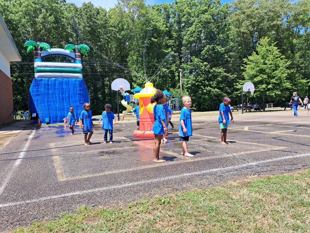 Field Day
