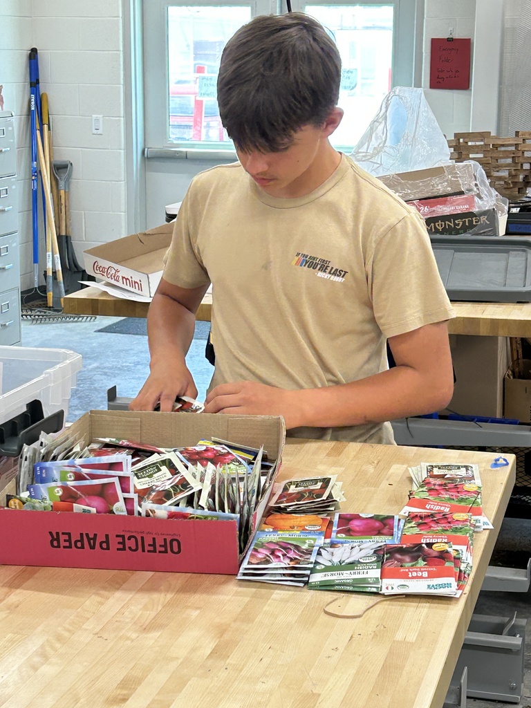 seed sorting