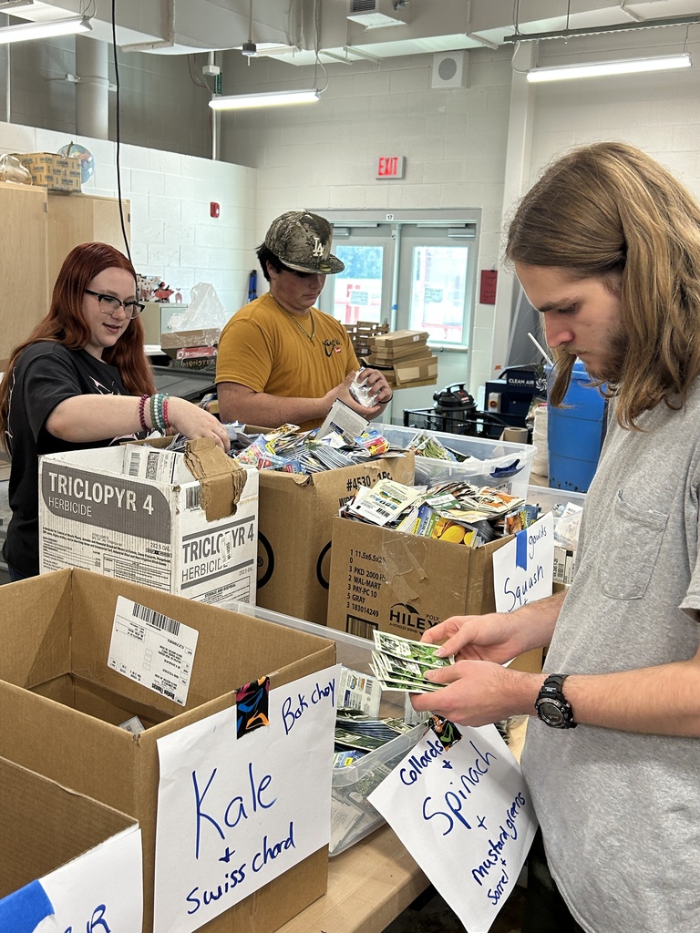 seed sorting