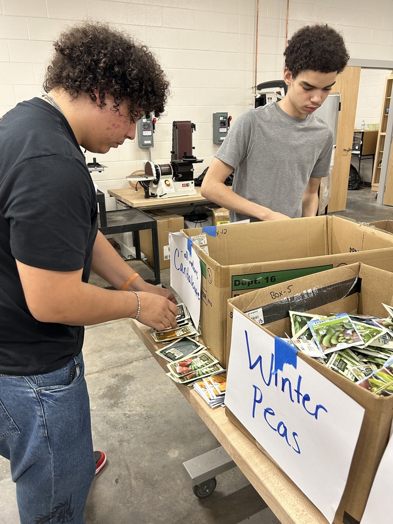 student sorting seeds