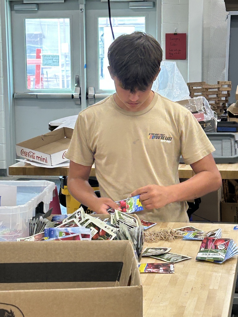 seed sorting