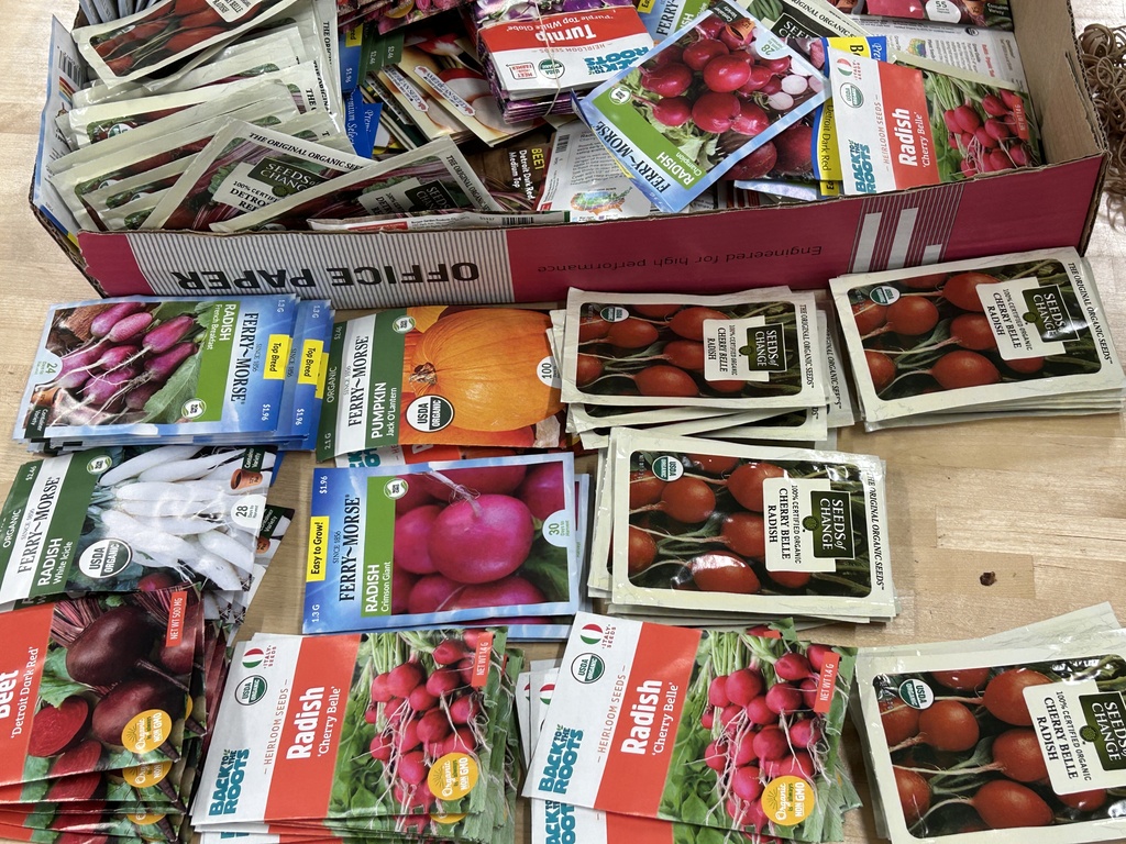 seeds