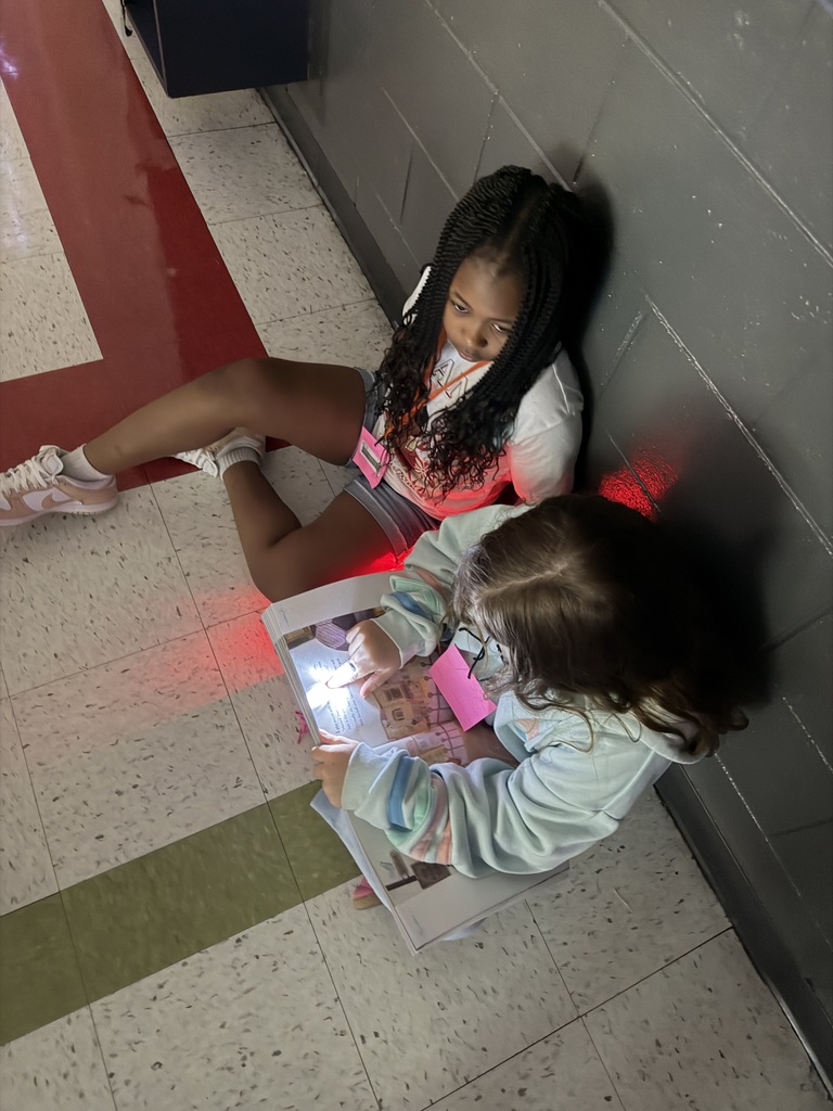 Third Grade Light Reading