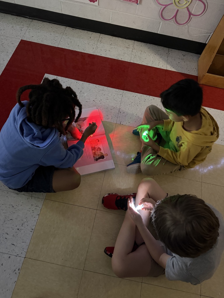 Third Grade Light Reading