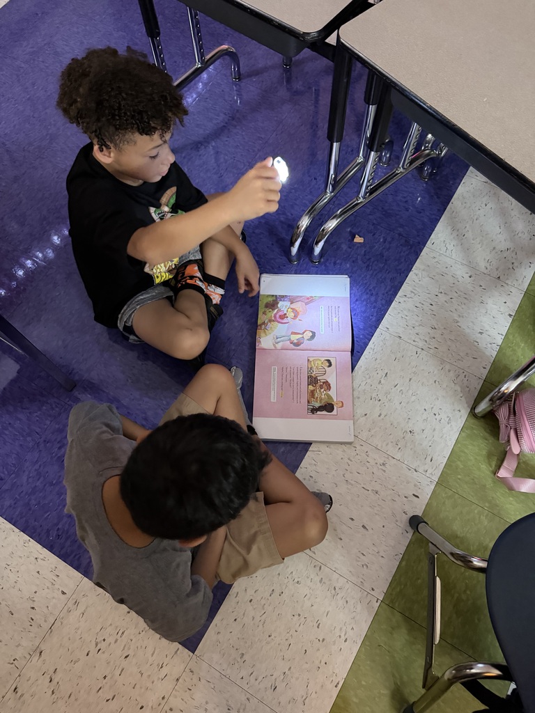 Third Grade Light Reading