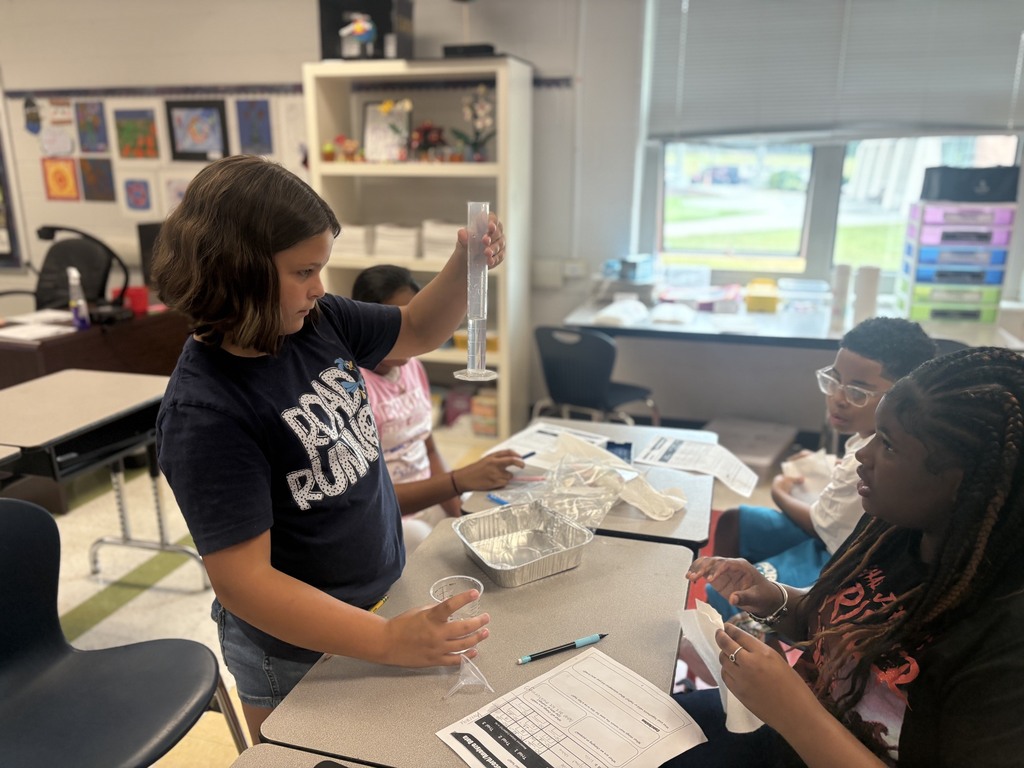 Scientific Investigation