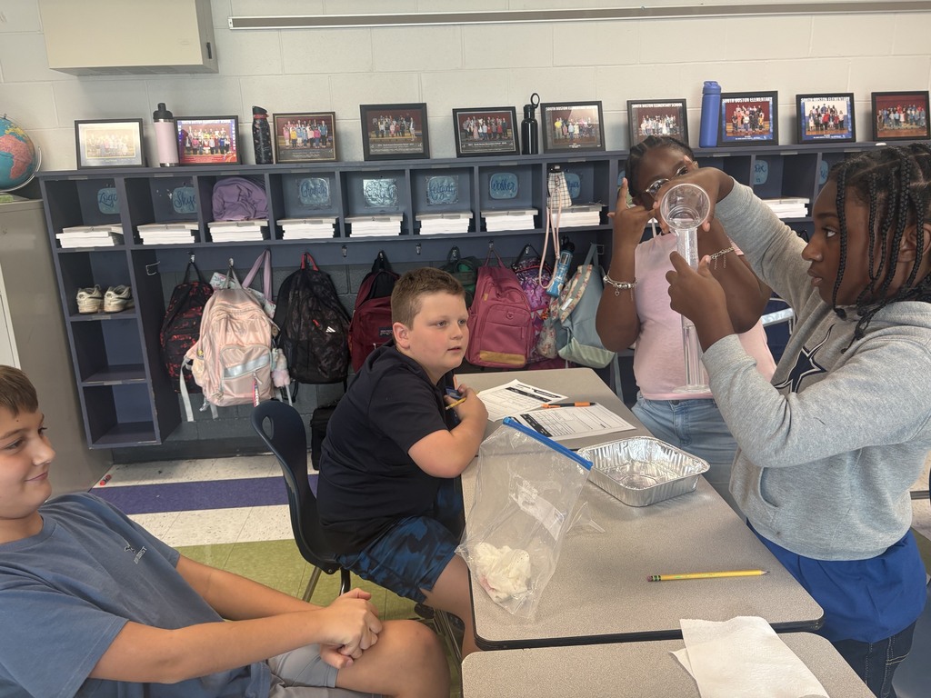Scientific Investigation