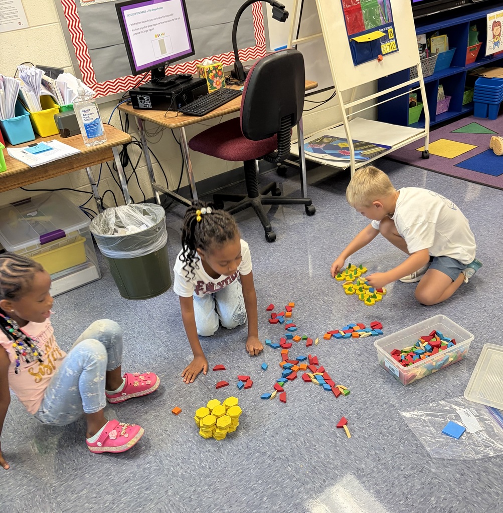 Students working with pattern blocks