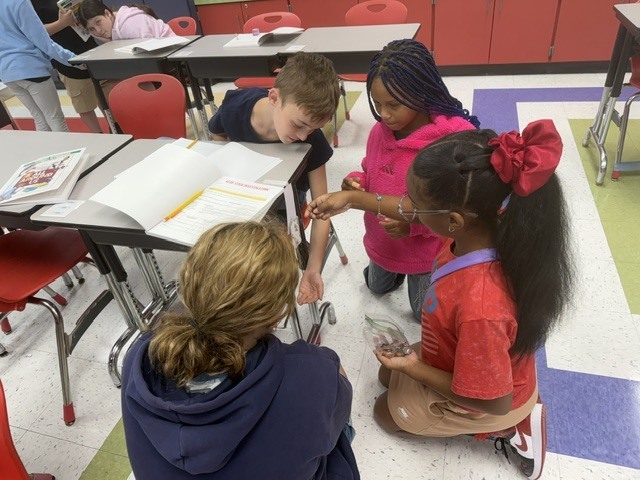 Scientific Investigation with 5th GradersScientific Investigation with 5th Graders