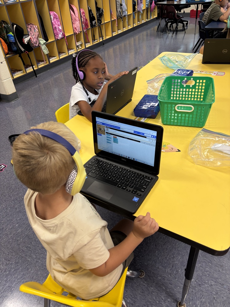 1st grade scholars coding