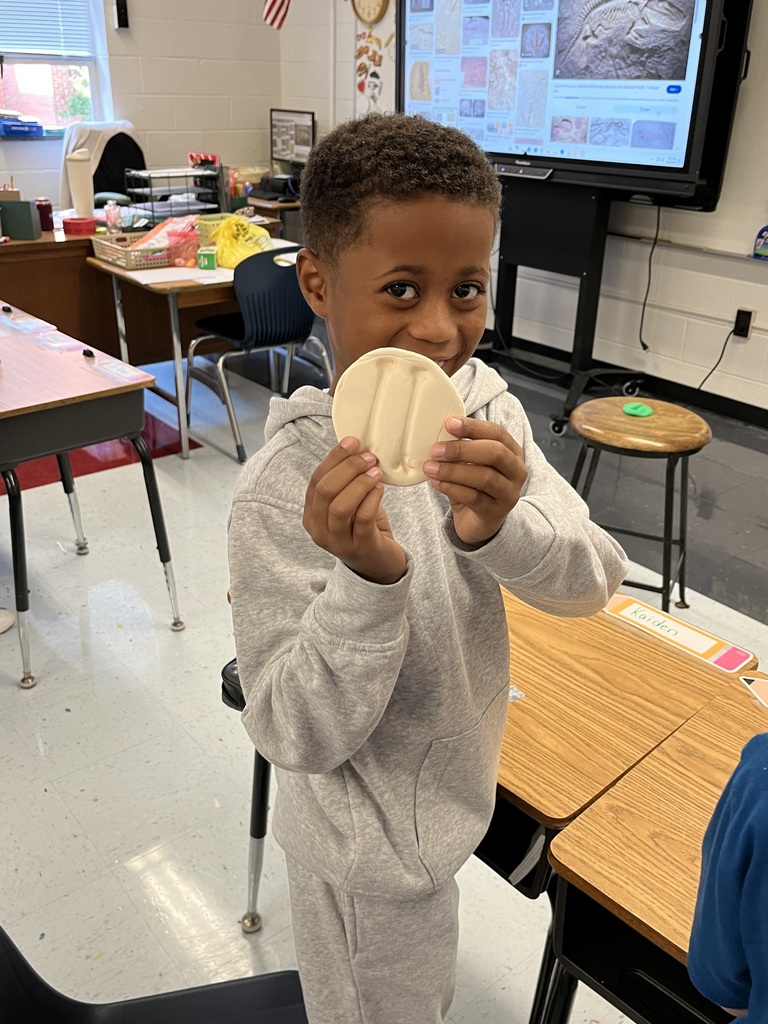 Making fossils