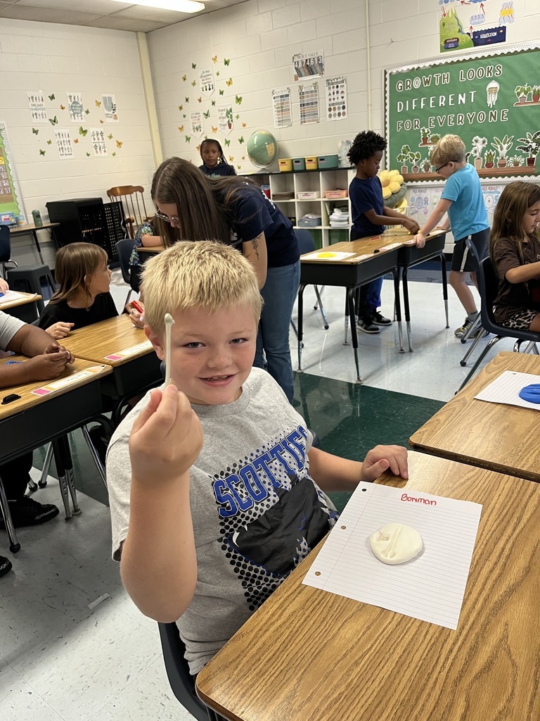 Making fossils