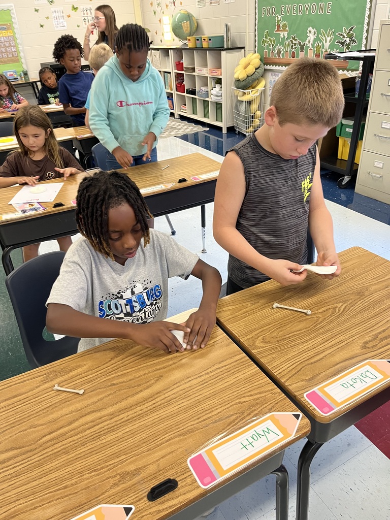 Making fossils