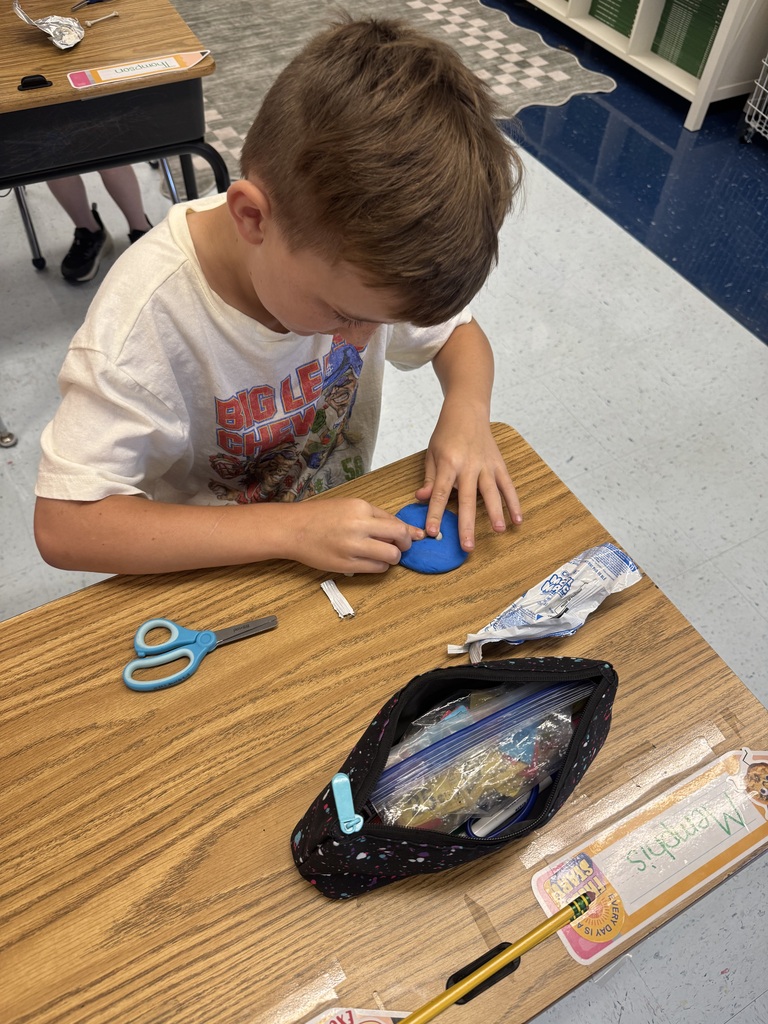 Making fossils