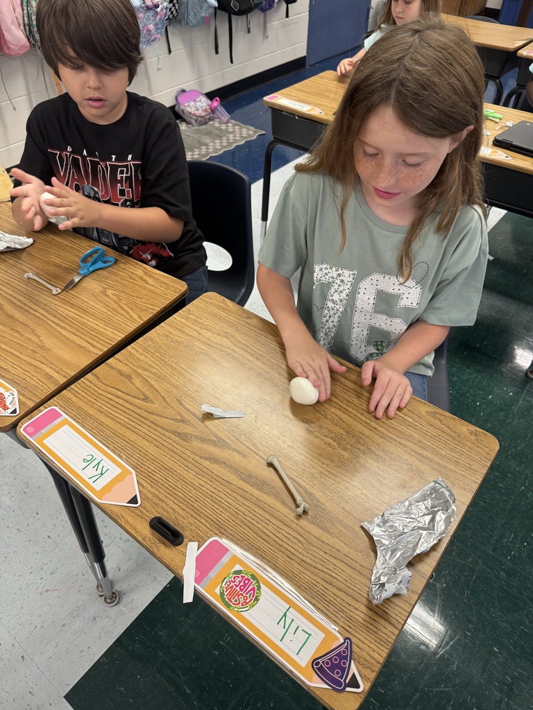 Making fossils