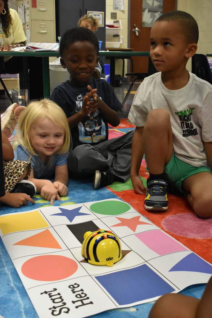 scholars working on shapes and colors