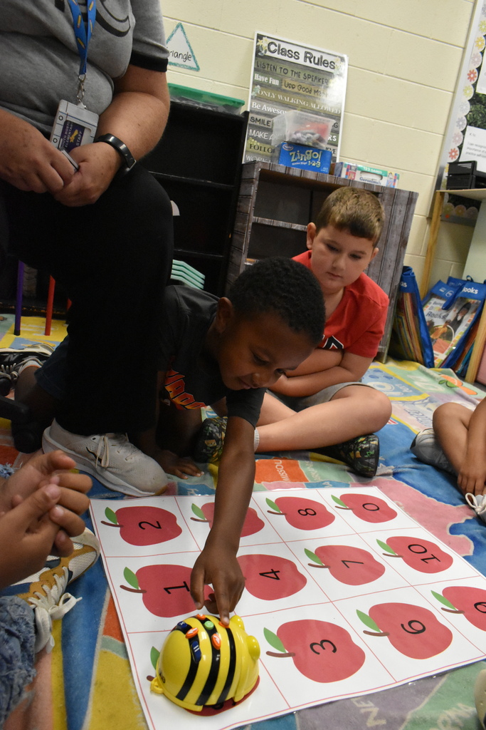 scholars working with beebot