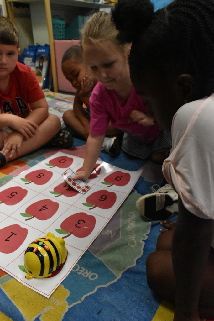 scholars working with beebot